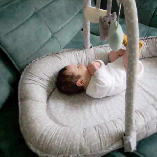 Babyjem Babynest met Speeltjes Grijs> Accessoires Boxen