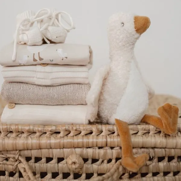 Little Dutch Boxpakje - Little Goose> Boxpakjes