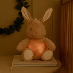 Little Dutch Newborn Knuffelkonijn Licht & Geluid> Pluche / Knuffels