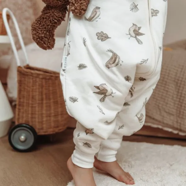 Meyco Baby Slaapzak Jumper Winter Robin Multicolour 104 cm> 4-Seizoenen Slaapzakken|Winter Slaapzakken