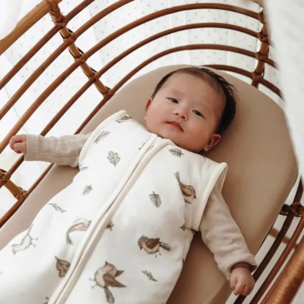 Meyco Baby Slaapzak Met Afritsbare Mouwen Robin Multicolour 70 cm> 4-Seizoenen Slaapzakken|Winter Slaapzakken